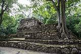 Muyil Ruins Mexico Feb 14 2018
